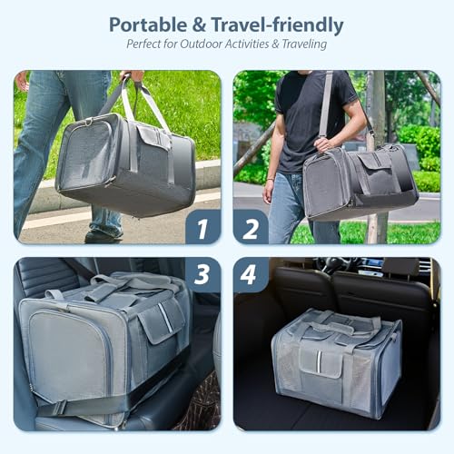 Cat Carrier for 2 Cats