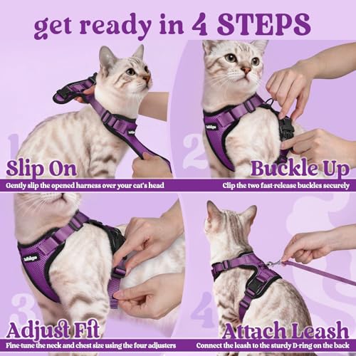 Cat Harness and Leash Set (Xxs / Purple)
