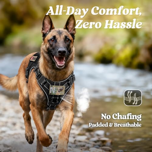 Tactical Dog Harness for Small (Black Reflex / Small)
