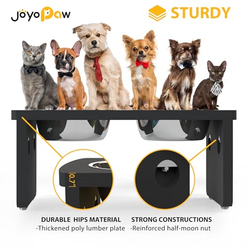 Elevated Dog Bowls (Black / Medium: 7'' Tall-40oz Bowl)