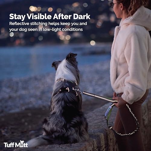 Waist Hands Free Dog Leash for Walking Running Hiking (Purple)