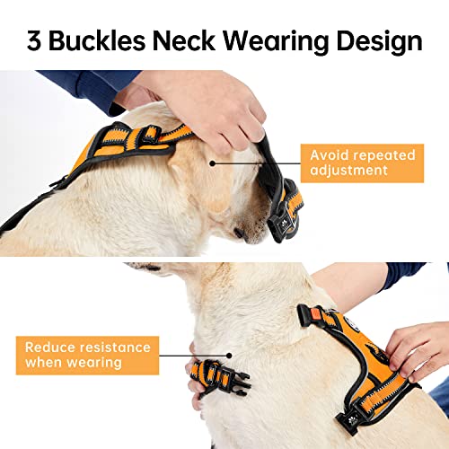 No Pull Dog Harness for Large Dogs (Orange / Large)