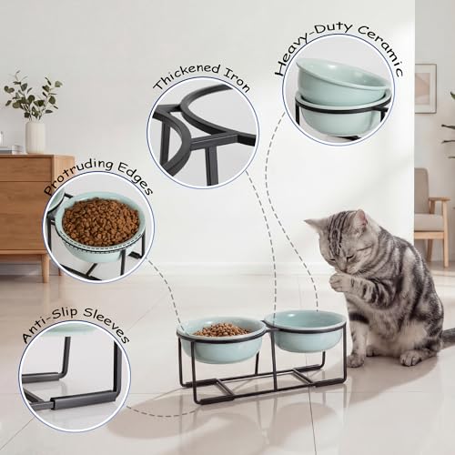 Ceramic Elevated Dog Bowl Set (Green / S × 2)