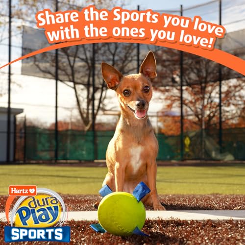 Dura Play Sports Baseball Dog Toy (Baseball / 1 Count)