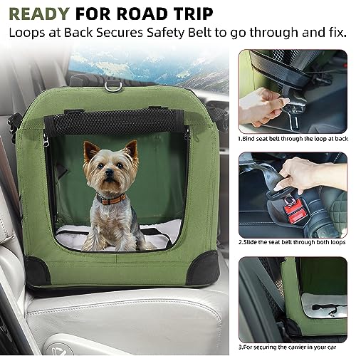 Large Cat Carrier for 2 Cats (Green / 24.0"L x 17.0"W x 17.0"H)