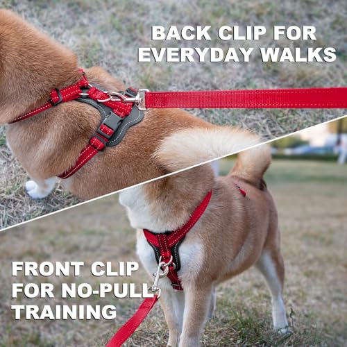 No Pull Dog Harness with Leather Accents (XL / Red)