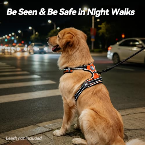 No Pull Dog Harness Large with Front Clip & Neck Release Buckle (XL / Orange)