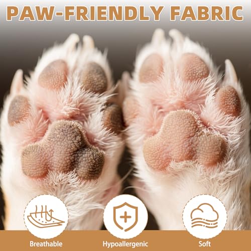Dog Socks for Hot