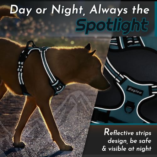 Dog Harness for Small Dogs (Small / Dark Green)