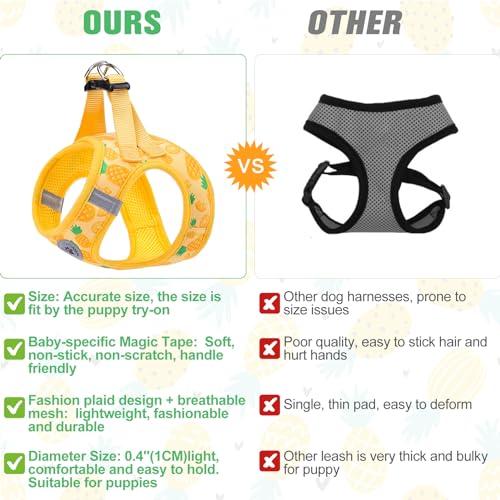 Dog Harness Medium Sized and Leash Set (Medium(Chest Girth 16" - 18") / Pineapple)
