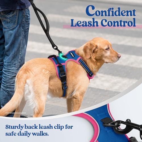 Dog Harness No Pull for Large Dogs with 2 Leash Clips (Large / Blue & Hot Pink)