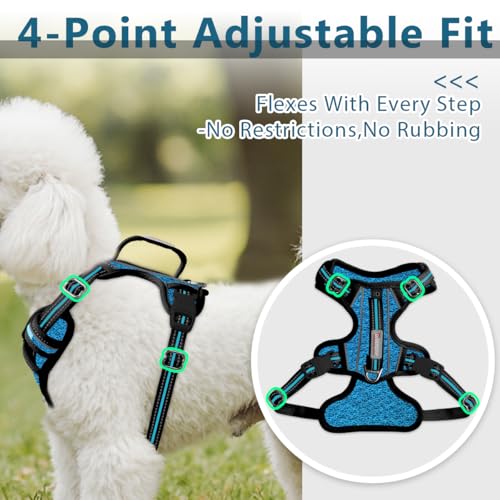 Dog Harness No Pull with ID Tag Pocket (Small(Chest:19.5-26”) / Blue/Black)