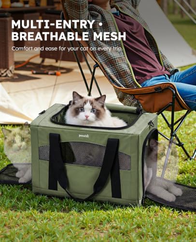 Cat Carrier Stable (Green / 18.5"L x 12.9"W x 11.8"H)