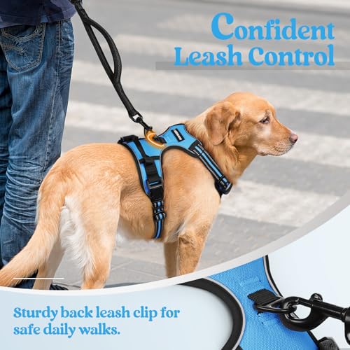 Dog Harness No Pull for Large Dogs with 2 Leash Clips (Large / Blue)