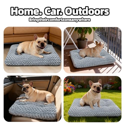 Dog Bed Medium Size (Dark Grey / 23"L x 18"W x 3"Th)