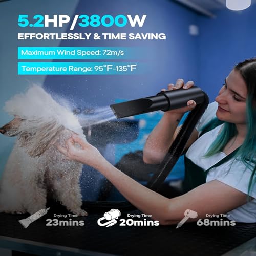Dog Dryer 5.2HP