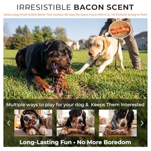 3 Pack Indestructible Dog Chew Toys for Aggressive Chewers (3PC-Bacon-Brown)