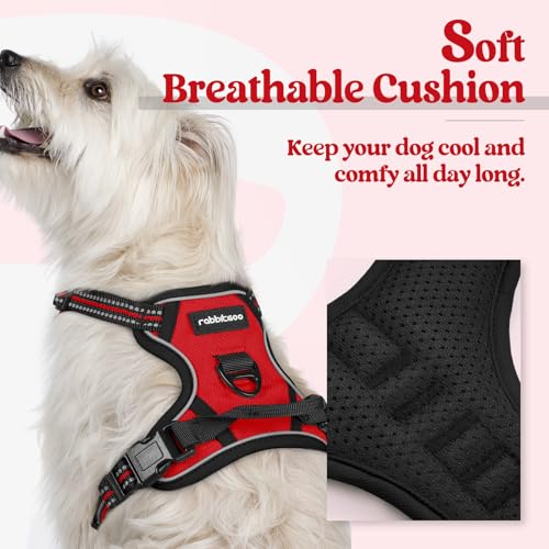 Dog Harness No Pull for Small Dogs with 2 Leash Clips (X-Small / Red)