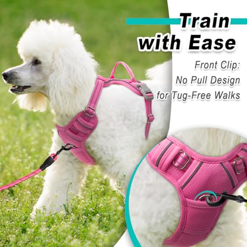 Dog Harness for Small Sized Dog No Pull Mesh 2 Clips Dog Vest (X-Small / Pink-Mesh)