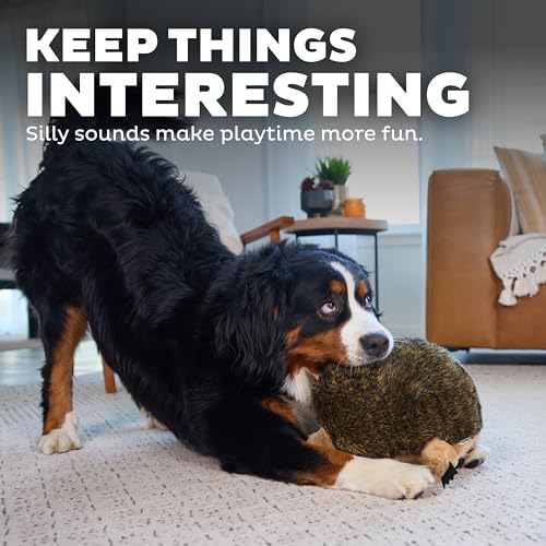 Hedgehogz Plush Dog Toy (Dog Plush Hedgehogz / X Large (Pack of 1))