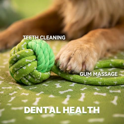 Tug of War Dog Toy with Ball (Forest Fetcher)