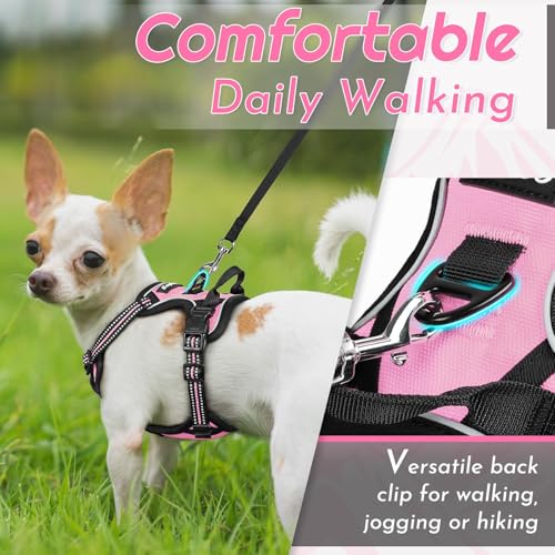 Dog Harness for Small Dogs (X-Small / Pink)