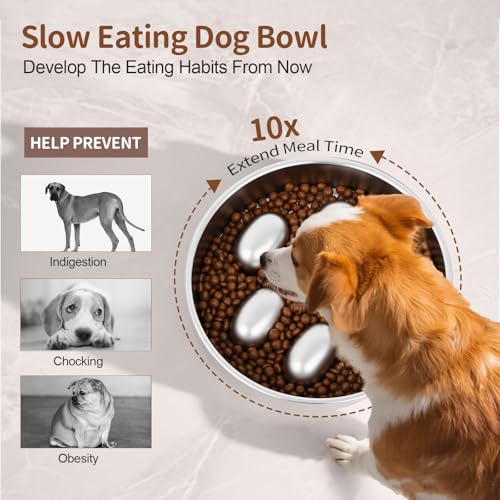 Slow Feeder Dog Bowl for Fast Eating Dogs Heavy Duty Stainless Steel 8.2" with Non (Metallic / 2 Cups)