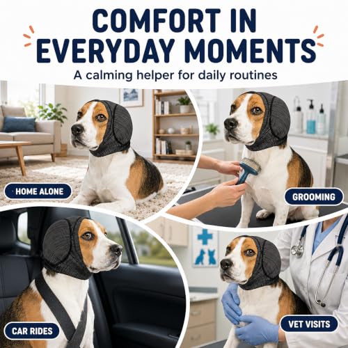 Dog Calming Head Wrap (Gray / XL:Head Circumference: 19.7–23.6 in)