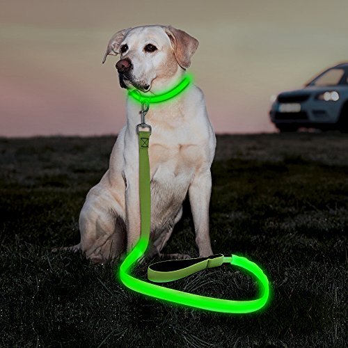 LED Dog Leash (GreenⅠ)