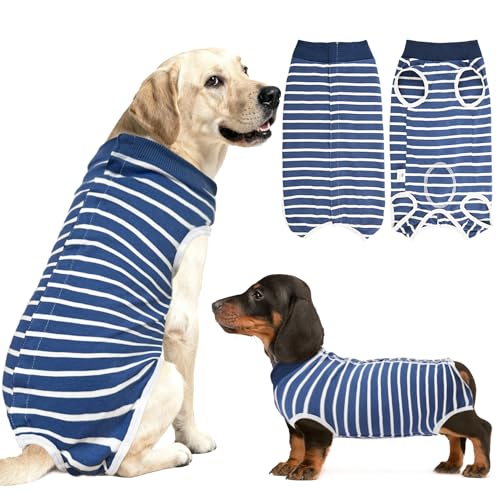Recovery Suit for Dogs (Blue / X-Large)