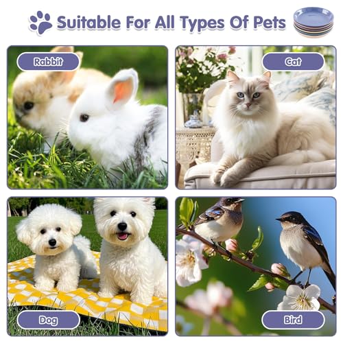 6 Pack Cat Food Bowl (CaiSe-A)
