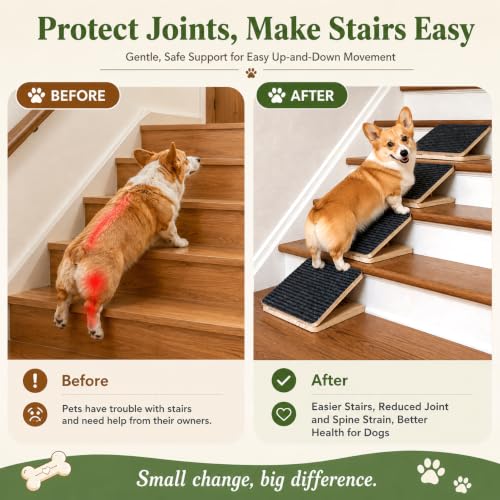 Dog Ramp for Stairs