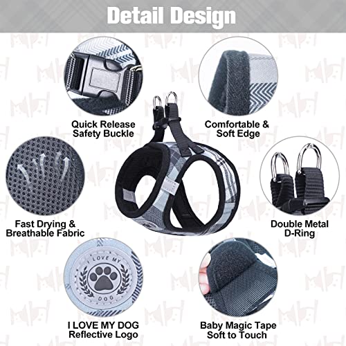 Small Dog Harness and Leash Set (Small(Chest Girth 14.5" - 16") / Grey)