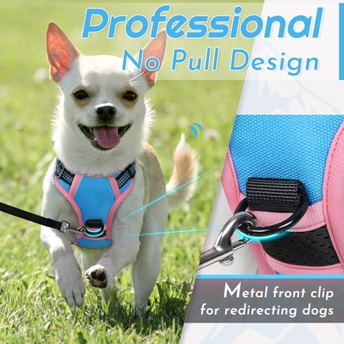 Dog Harness for Small Dogs (X-Small / Pink & Blue)