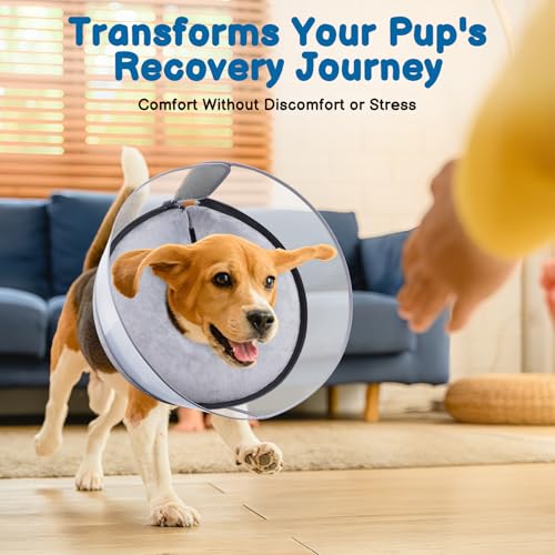 2-in-1 Inflatable Dog Donut Collar for Medium Dogs After Surgery (Grey / M+)
