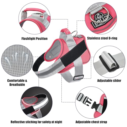 Dog Harness No (X-Small (Pack of 1) / Camellia)