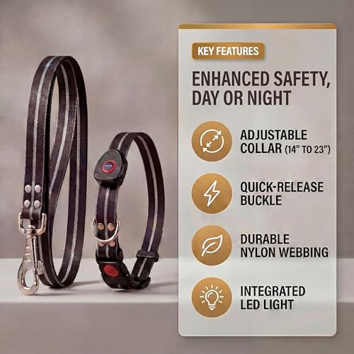 LED Dog Collar & 4 Foot Leash (Black)