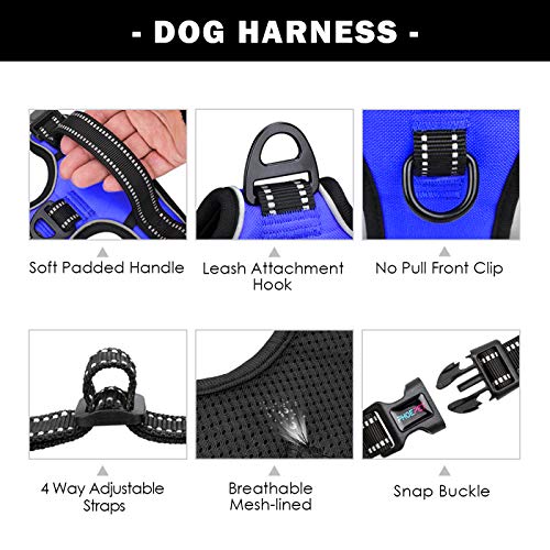 No Pull Dog Harness Medium Reflective Front Clip Vest with Handle (Extra Small / Royal Blue)