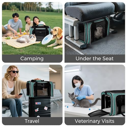 Pet Travel Carrier (Green / 17.0"L x 11.0"W x 12.0"H)