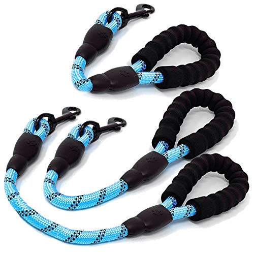 Nylon Traffic Leash with Padded Handle (Rope-Blue)