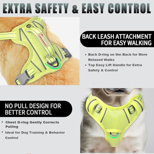 Dog Harness for Small Sized Dog No Pull Dog Vest ID Tag Pocket (Sunlight / Small)