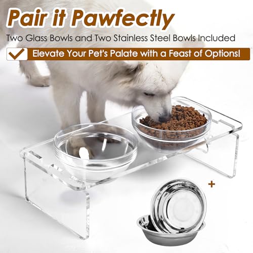 Elevated Dog Bowls for Medium Dogs (Medium Dogs-5.5" Height)
