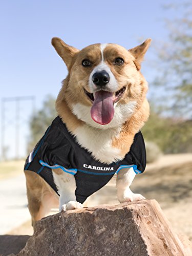 NFL CAR-4006-SM CAROLINA PANTHERS DOG Jersey, Small (Carolina Panthers / Small)