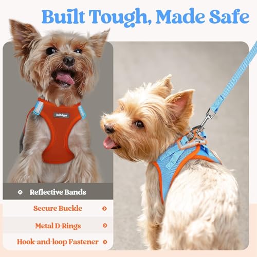 Dog Harness Medium Sized and Leash Set (Blue & Orange / Xl (chest: 20 - 21.8"))