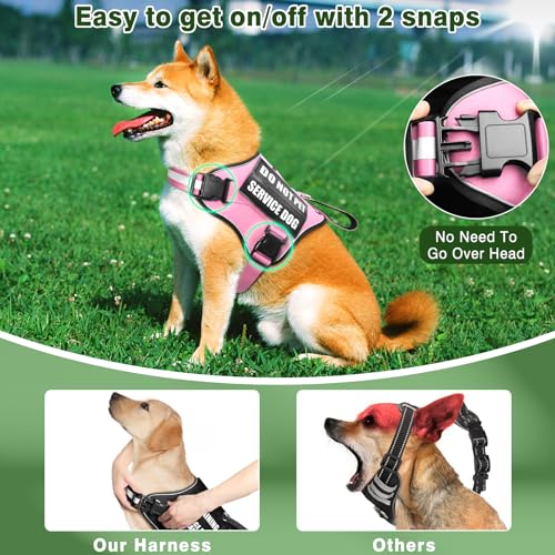 Service Dog Vest Harness and Leash Set+10 Patches (Extra-large / Pink)