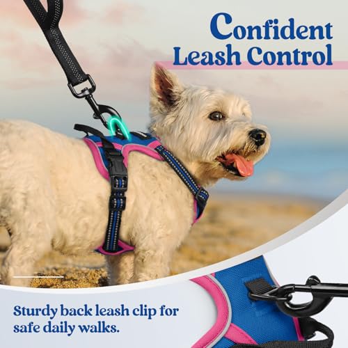 Dog Harness No Pull for Small Dogs with 2 Leash Clips (X-Small / Blue & Hot Pink)