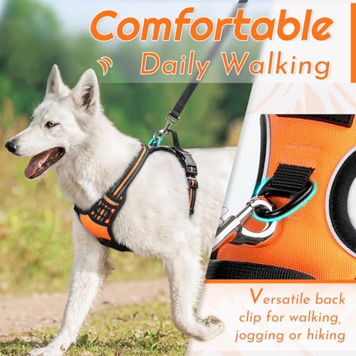 Dog Harness for Medium Sized Dogs (Medium / Orange)