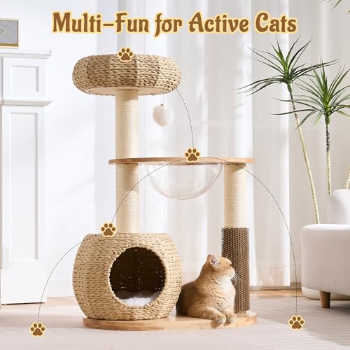 Modern Cat Tree for Indoor Small & Medium Cats (Natural w/ Capsule-38")
