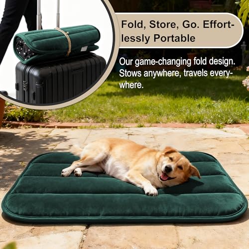 Dog Crate Pad (M(28"*16"*1.5") / New-Green-1pc)