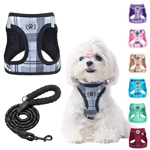 Small Dog Harness and Leash Set (XX-Small(Chest Girth 11.5"-13") / Grey)